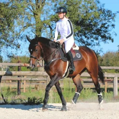 Pénélope - Chemise manches longues de concours Showshirt blanc/ noir Discount