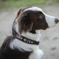 Pénélope - Collier pour chien Pearls Havane/ Rose