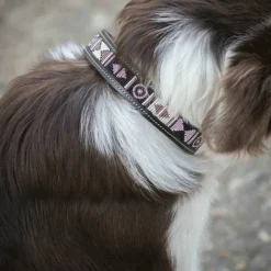 Pénélope - Collier pour chien Pearls Havane/ Rose