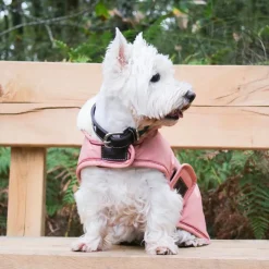 Pénélope - Collier pour chien Pearls Havane/ Rose