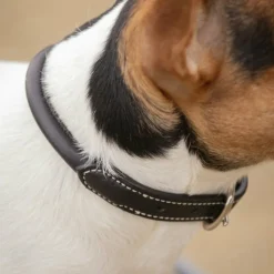Hot Pénélope - Collier pour chien Olie havane Marron
