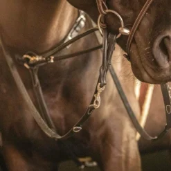 Pénélope - Enrênement Howlett Martin collier Noir Outlet