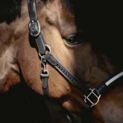 Pénélope - Licol Harmonie Noir Best