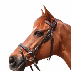 Outlet Privilège Equitation Privilege Equitation - Bridon Grandville combiné avec rênes marron Havane