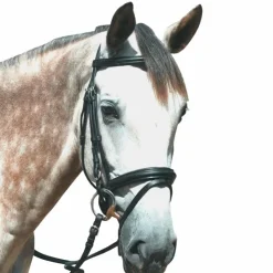 New Privilège Equitation Privilege Equitation - Bridon Touquet avec rênes Noir