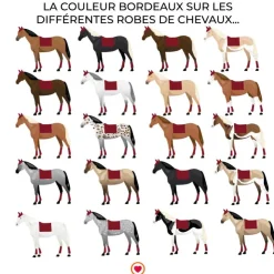 New Privilège Equitation - Tapis de selle Del Mar /noir Bordeaux