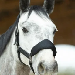 Outlet Pro Confort - Ensemble licol ergonomique et longe Dorai en mesh Noir