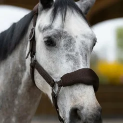 Pro Confort - Ensemble licol ergonomique et longe Dorai en mesh Marron Online