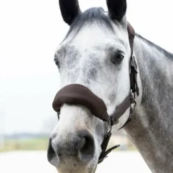 Pro Confort - Ensemble licol ergonomique et longe Dorai en mesh Marron Online