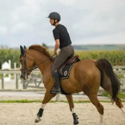 Pro Series - T-shirt manches courtes homme Aubin Noir Clearance