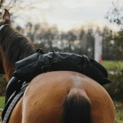 Hot Randol's - Sacoche de randonnée banane Noir