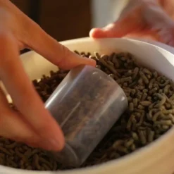 Discount Ravene - Complément alimentaire métabolisme Nutrilife