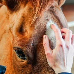 Best Ravene - Crème soin cutané Derma Protec