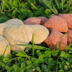 Best Ravene - Friandises pour chevaux Happy Treats Duo Pomme / Fruits Sauvages