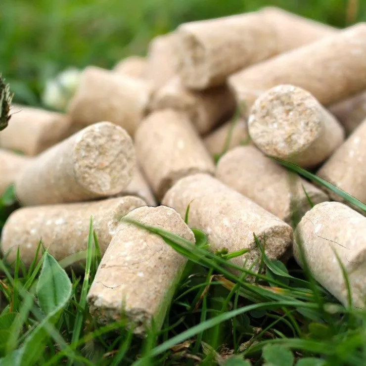 Ravene - Friandises pour chevaux Happy Sweet Pomme Outlet