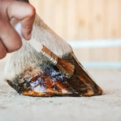 Ravene - Huile pour sabots hydratante Pediflex Best