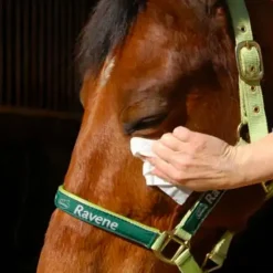 Ravene - Lingettes nettoyante robe/ yeux et naseaux Easy Shine (25pcs) Clearance