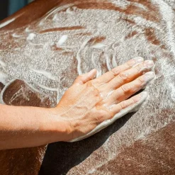 Sale Ravene - Shampoing protecteur Emouchine