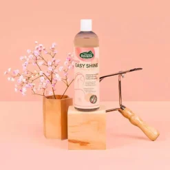 Ravene - Shampooing raviveur de teinte Easy Shine Best