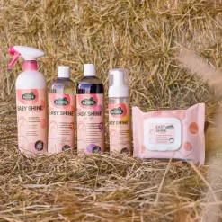 Ravene - Spray démêlant Easy Shine