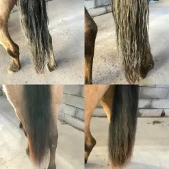 Ravene - Spray démêlant Easy Shine