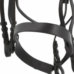 Riding World - Bride de dressage e avec rênes Noir Sale