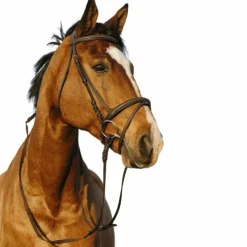 Riding World - Bridon muserolle combinée double avec rênes Havane Outlet