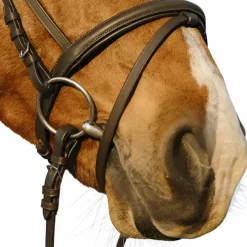 Riding World - Bridon muserolle combinée double avec rênes Havane Outlet