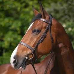 Hot Riding World - Bridon muserolle française avec rênes Havane