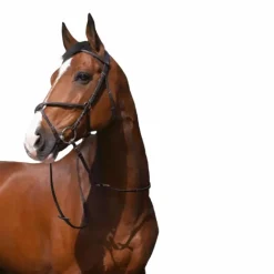 Riding World - Bridon Muserolle croisée avec rênes Hot