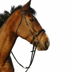 New Riding World - Bridon muserolle combinée double avec rênes Noir