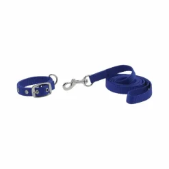 Clearance Riding World - Collier et laisse pour chien Oscar roi Bleu