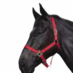 Riding World - Licol en nylon rouge Sale