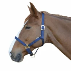 Discount Riding World - Licol en nylon marine