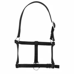 Riding World - Licol foal Noir Outlet