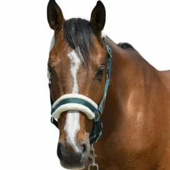 Outlet Riding World - Licol mouton synthétique foncé Vert