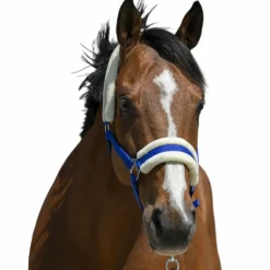 Riding World - Licol mouton synthétique roi Bleu New