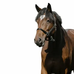 Online Riding World - Licol Nylon Cushion Noir