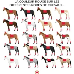 Riding World - Tapis de dressage Girly Rouge