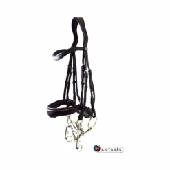 Online Antarès Sellier Signature by Antarès - Bride Dressage noir