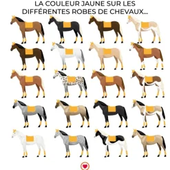 Tacante - Tapis de dressage Excel-Anse d'or Jaune Best