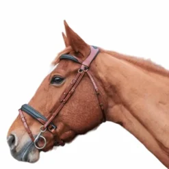 TdeT - Bridon et rênes Lautrec tabac/noir