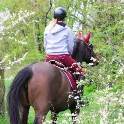TdeT - Bridon et rênes Lautrec tabac/noir