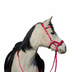 TdeT - Bridon Sidepull Biotack® fuchsia Outlet