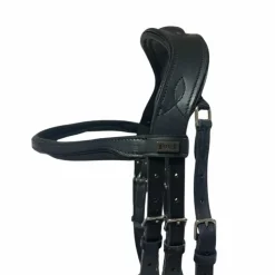 TdeT - Bridon Velazquez / Noir Online