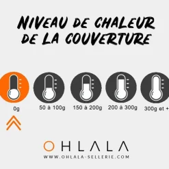 TdeT - Chemise micro jersey Noir Outlet