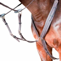 TdeT - Collier de chasse Biotack® marron foncé Discount