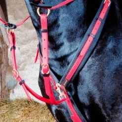 TdeT - Collier de chasse Biotack® rouge Hot