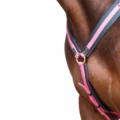 Clearance TdeT - Collier de chasse Biotack fuchsia Rose