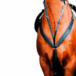 Best TdeT - Collier de chasse Biotack® noir